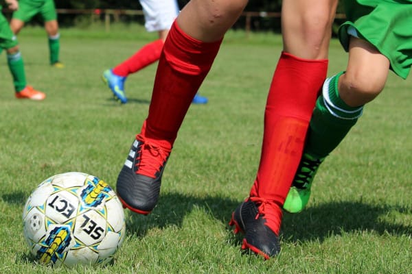 Incognita baby campione