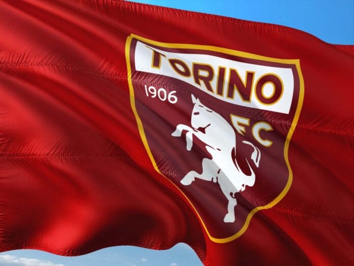 Torino flag Torino
