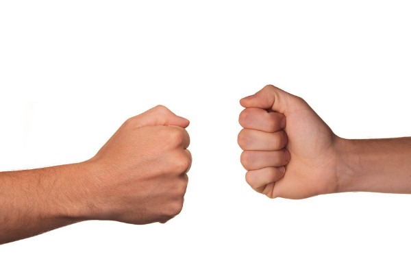 Fiorentina colpo di reni