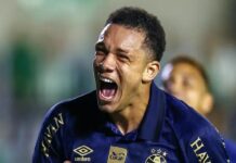 La Fiorentina adesso si lancia sul mercato