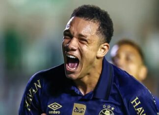 La Fiorentina adesso si lancia sul mercato