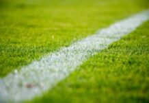 Universidad Central-Santos 1-4: il Peixe domina l’andata dei playoff di Copa Sudamericana 2026 Copa Sudamericana 2026, il Santos cala il poker in Venezuela: Universidad Central battuta 4-1 nell'andata dei playoff