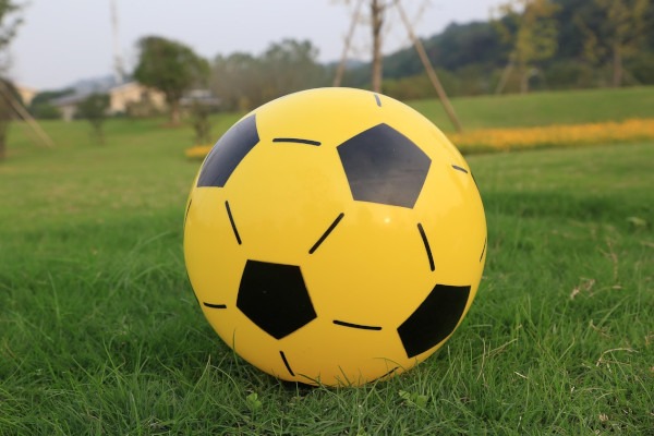 Perchè fallimento calcio