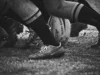Rugby, URC 2026/27 al via: programma, orari  e dove vederlo in Tv