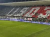 Cremonese Benevento 31 ottobre formazioni, dove vederla
